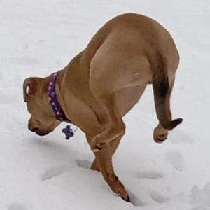 Meet your Posher, Catherine